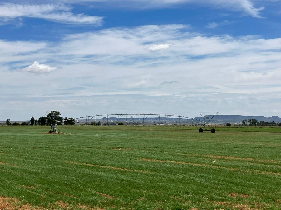 3 Bedroom Property for Sale in Bloemfontein Rural Free State
